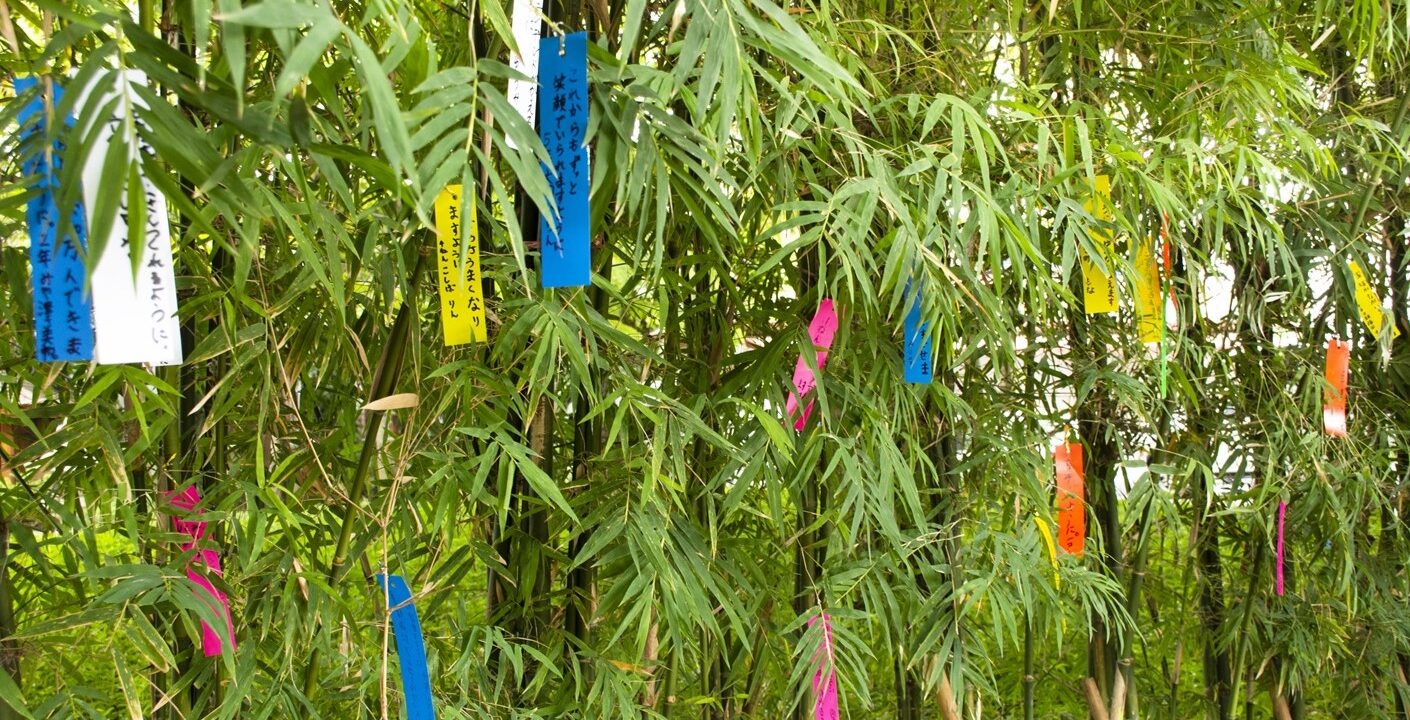 tanabata