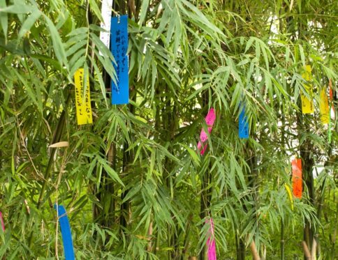 tanabata