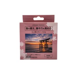 puzzle modello torii 300 pezzi